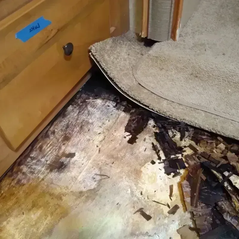 Best Wood Floor Water Damage Service in South Cleveland, TN